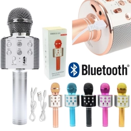 Microfono Karaoke Inalambrico WS-858