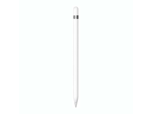 Apple Pencil (1ra Gen) con adaptador de USB-C a Apple Pencil junto a un iPad, ideal para creatividad y productividad en Uruguay.