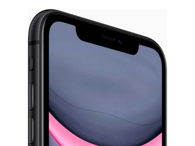 Pantalla Liquid Retina HD de 6.1 pulgadas del iPhone 11 Negro mostrando colores vibrantes.